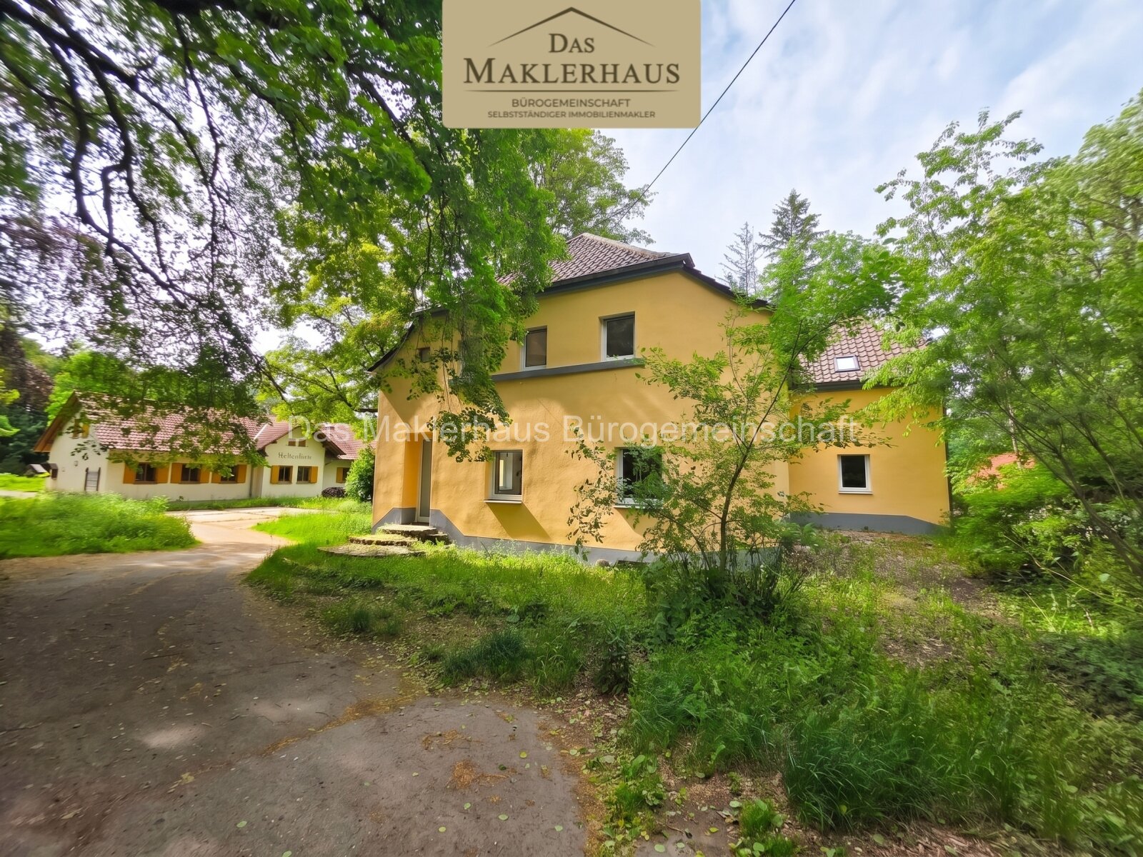 Waldhaus Donnersberg - Gastronomie mit Geschichte auf dem höchsten Berg der Pfalz